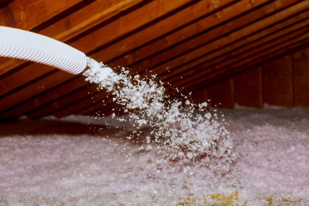 Best Types of Insulation in Scissors, TX